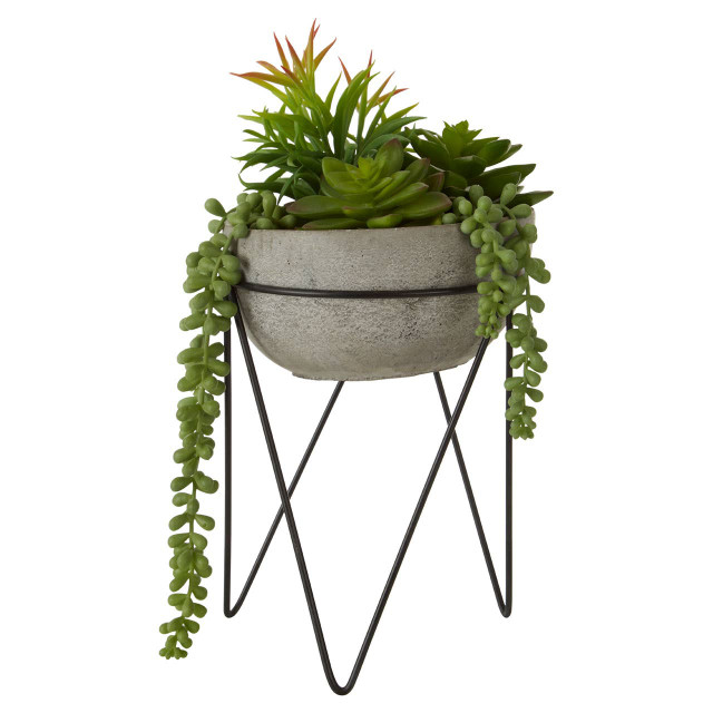 premier housewares Fiori Mixed Succulent with Metal Stand