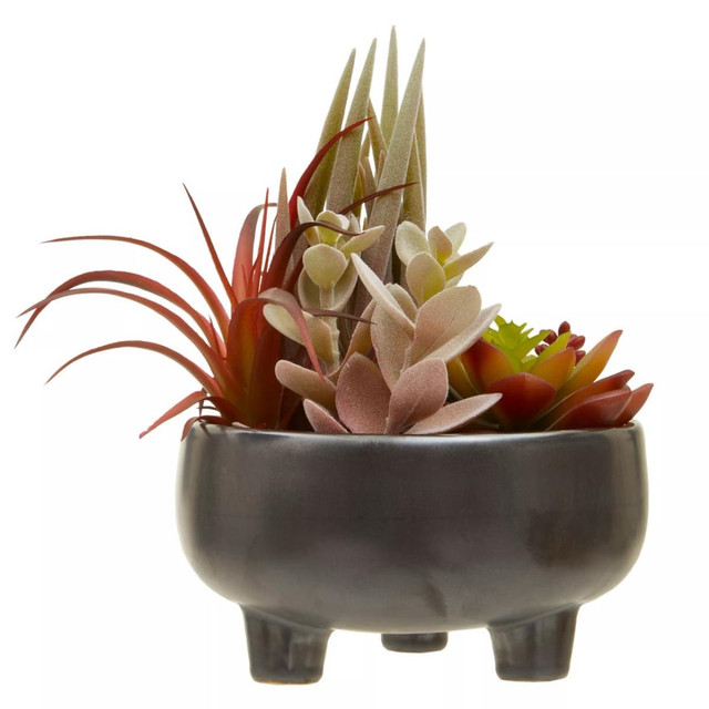 premier housewares Fiori Mixed Succulents In Grey Ceramic Pot