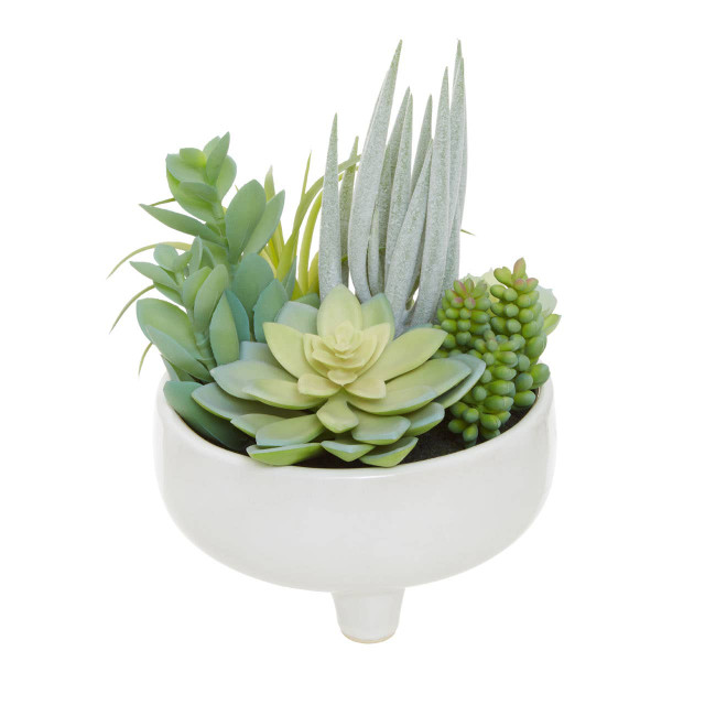 Premier Housewares Fiori Mixed Succulents In Large Ceramic Pot