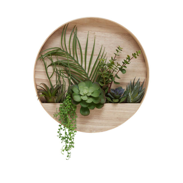 premier housewares Fiori Mixed Succulents In Wood Wall Planter