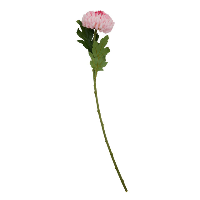 Premier Housewares Fiori Pink Chrysanthemum Flower Stem