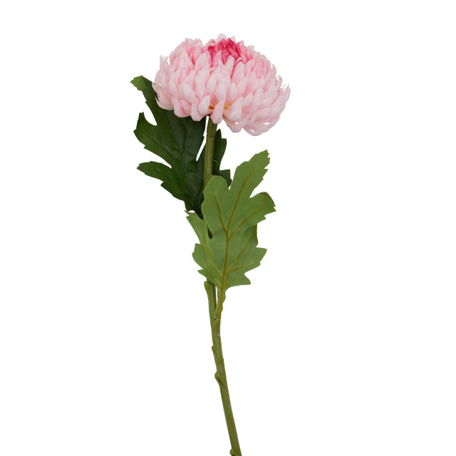 Premier Housewares Fiori Pink Chrysanthemum Flower Stem