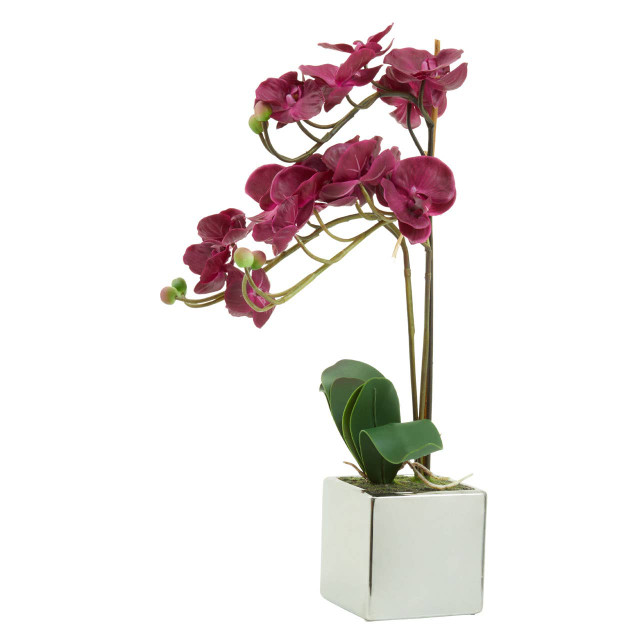 Premier Housewares Fiori Purple Orchid In Silver Pot