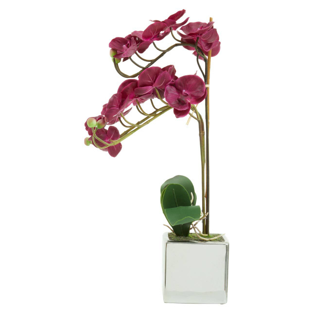 premier housewares Fiori Purple Orchid in Silver Pot