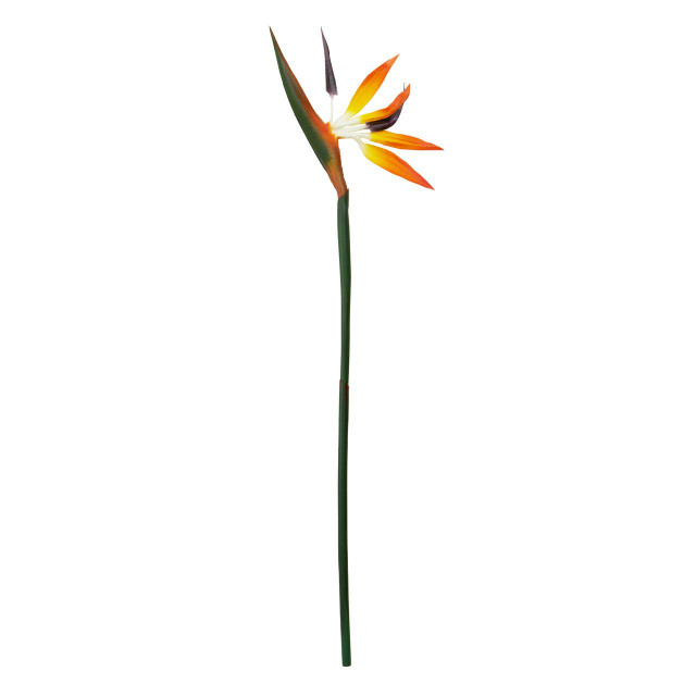 premier housewares Fiori Tall Bird Of Paradise Flower Stem