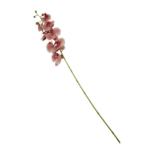 Premier Housewares Fiori Tall Pink Orchid Spray Flower Stem