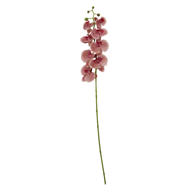 premier housewares Fiori Tall Pink Orchid Spray Flower Stem