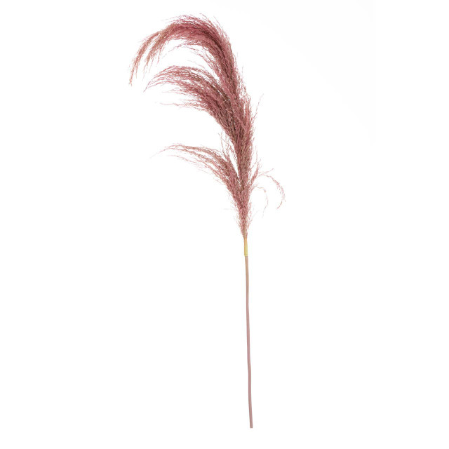 Premier Housewares Fiori Tall Pink Pampas Grass Stem