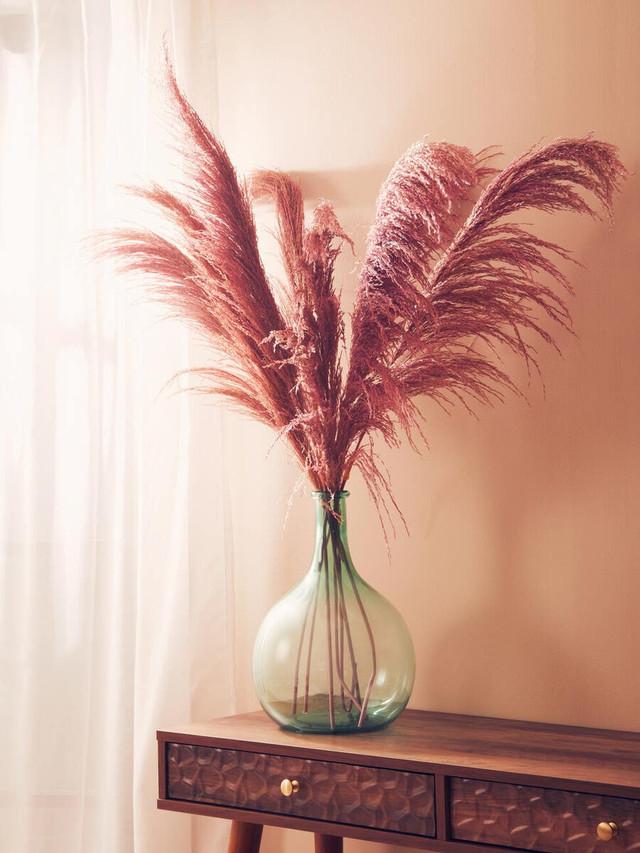 Premier Housewares Fiori Tall Pink Pampas Grass Stem