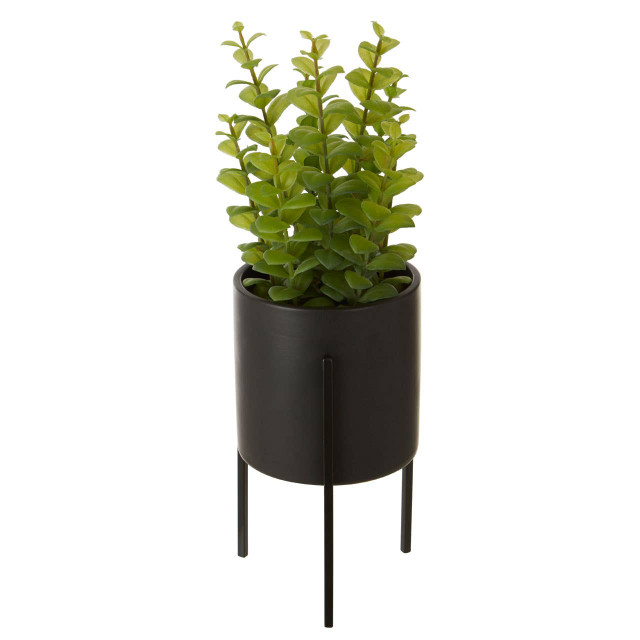 Premier Housewares Fiori Thyme In Black Pot With Stand
