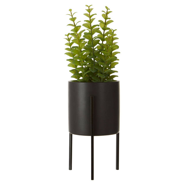 premier housewares Fiori Thyme in Black Pot with Stand