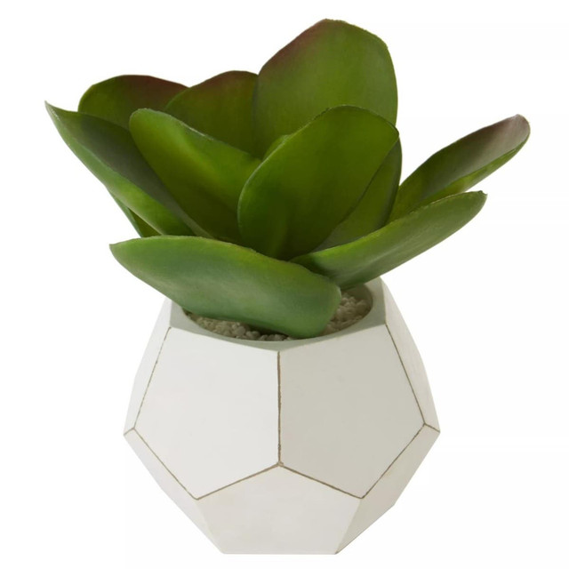 Premier Housewares Fiori White Cement Pot Succulent
