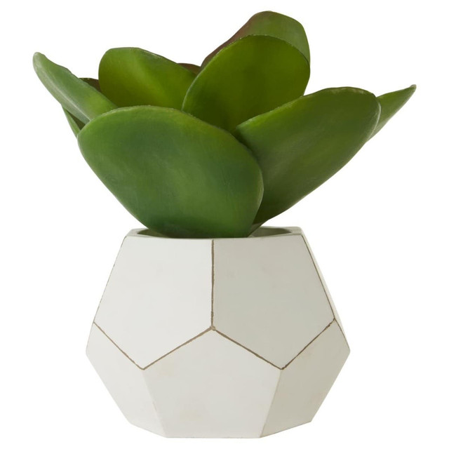 premier housewares Fiori White Cement Pot Succulent