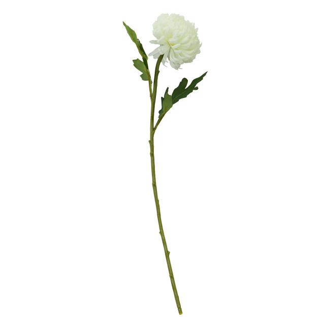 Premier Housewares Fiori White Chrysanthemum Flower Stem