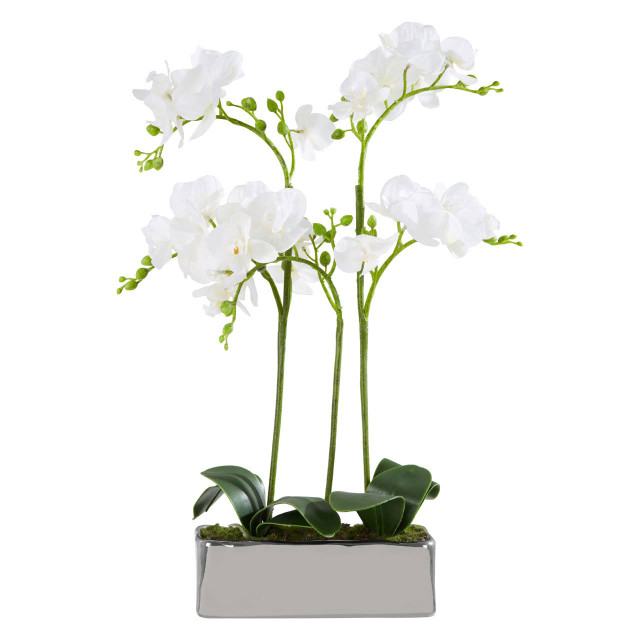 Premier Housewares Fiori White Orchid Plant In Rectangular Pot