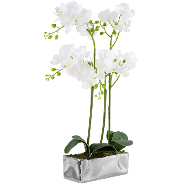 Premier Housewares Fiori White Orchid Plant In Rectangular Pot