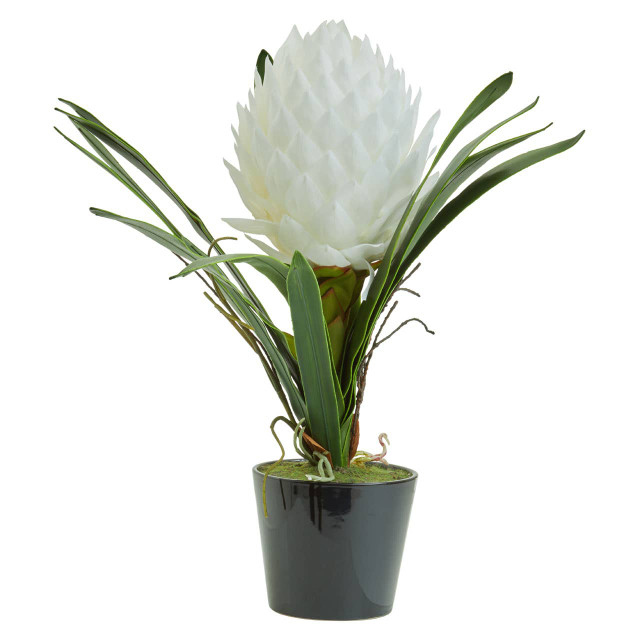 Premier Housewares Fiori White Tropical Plant In Black Pot