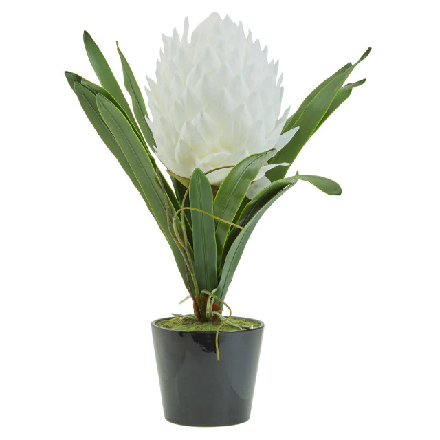 Premier Housewares Fiori White Tropical Plant In Black Pot