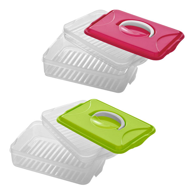 Premier Housewares Herrela Hot Pink 2 Layer Food Container