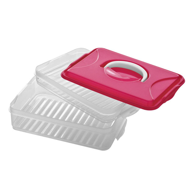premier housewares Herrela Hot Pink 2 Layer Food Container