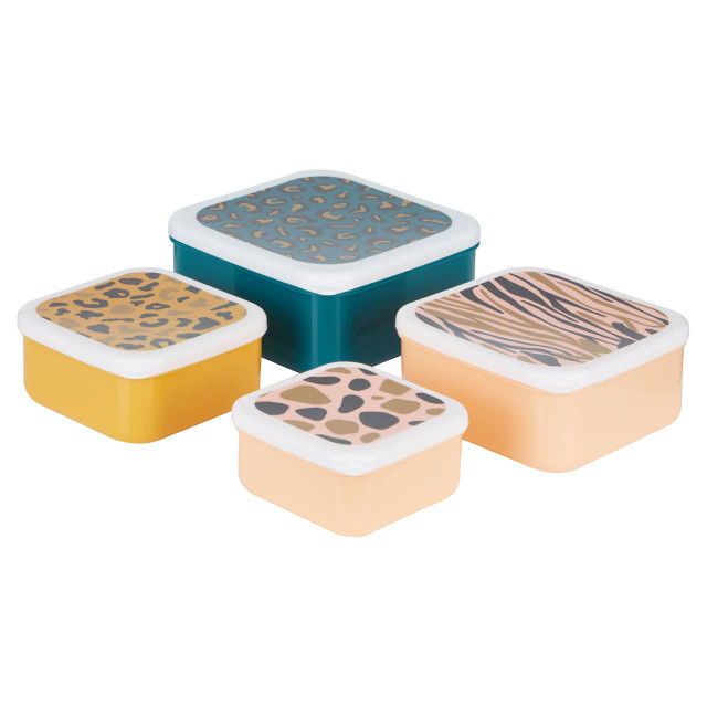 premier housewares Mimo Set Of 4 Animal Print Lunch Boxes