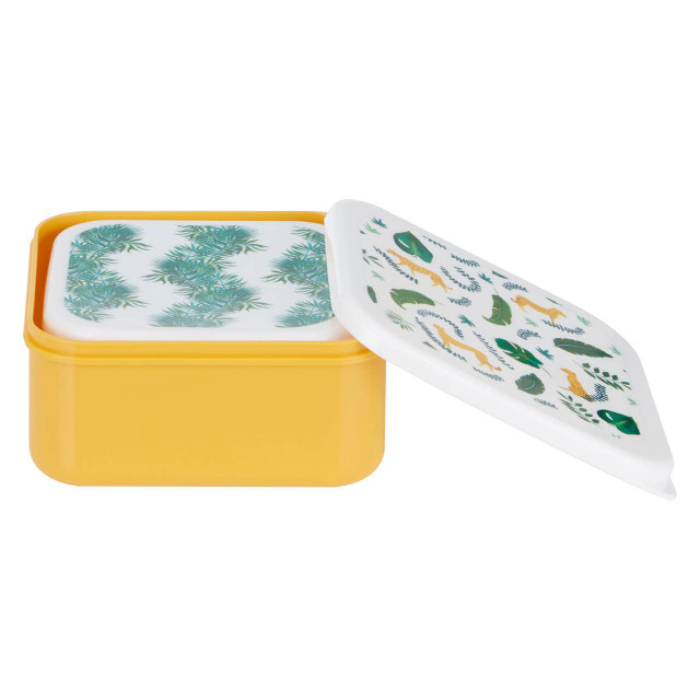 Premier Housewares Mimo Set Of 4 Winter Palm Lunch Boxes