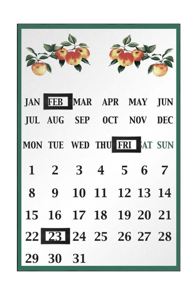 premier housewares Orchard Fruits Apple Magnetic Calendar
