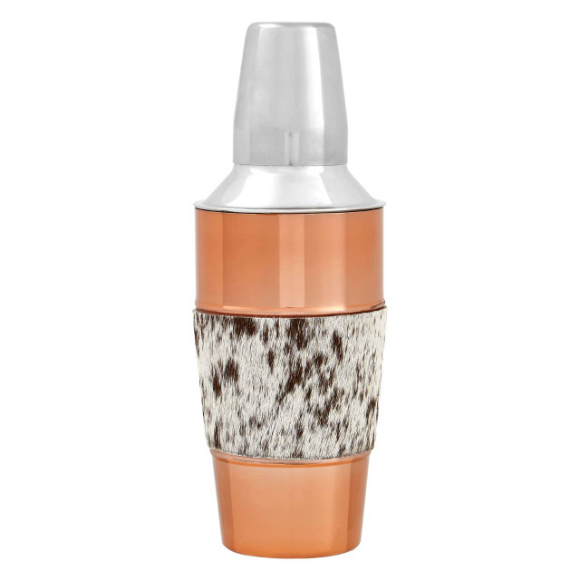 premier housewares Albany Cocktail Shaker