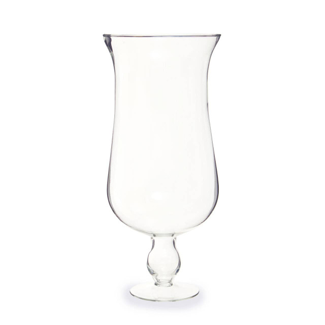 premier housewares Ambra Clear Glass Fluted Vase