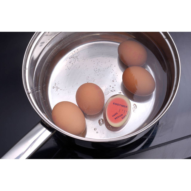 Premier Housewares Bianco Red Resin Egg Timer