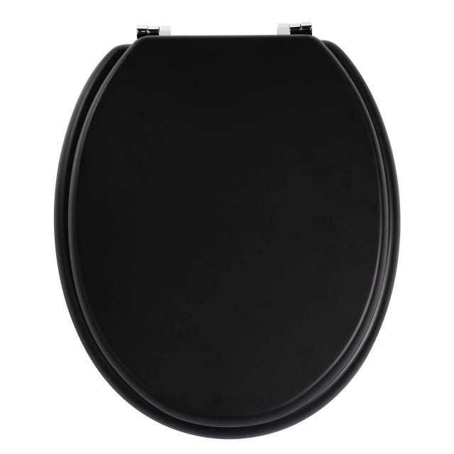 Premier Housewares Brooks Matte Black Toilet Seat