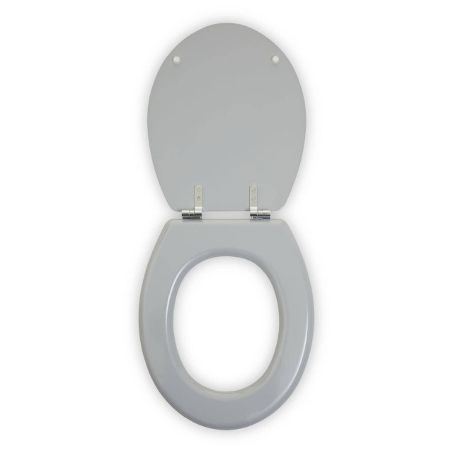 Premier Housewares Brooks Matte Grey Toilet Seat