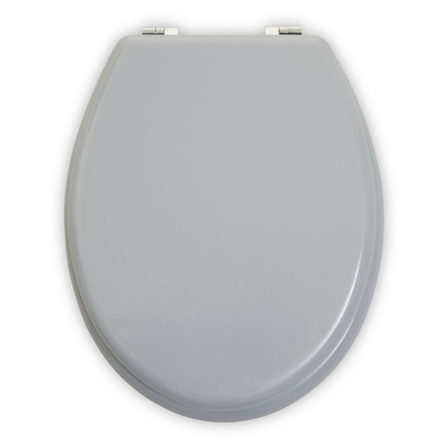 premier housewares Brooks Matte Grey Toilet Seat