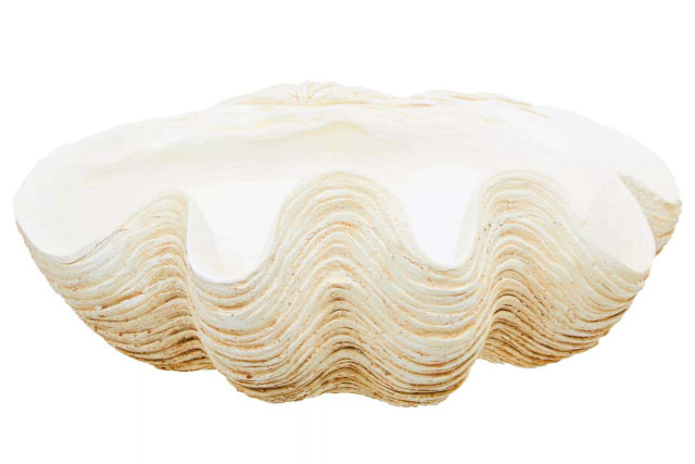 Premier Housewares Byron Large Clam Shell Bowl