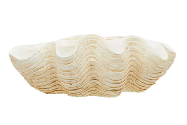 premier housewares Byron Large Clam Shell Bowl
