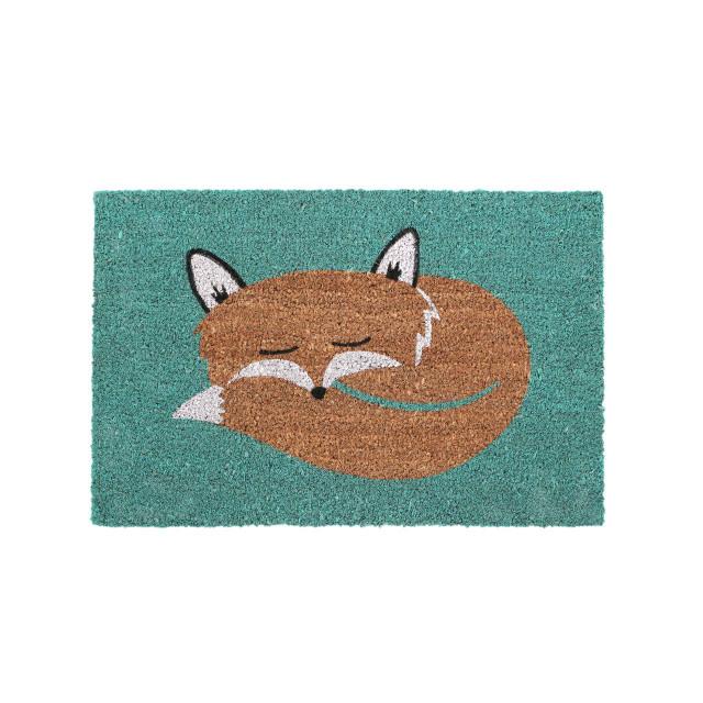 premier housewares Coir Fox Doormat