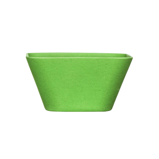 premier housewares Eden Green Bamboo Fibre Bowl