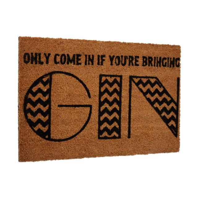 Premier Housewares Filta Gin Doormat