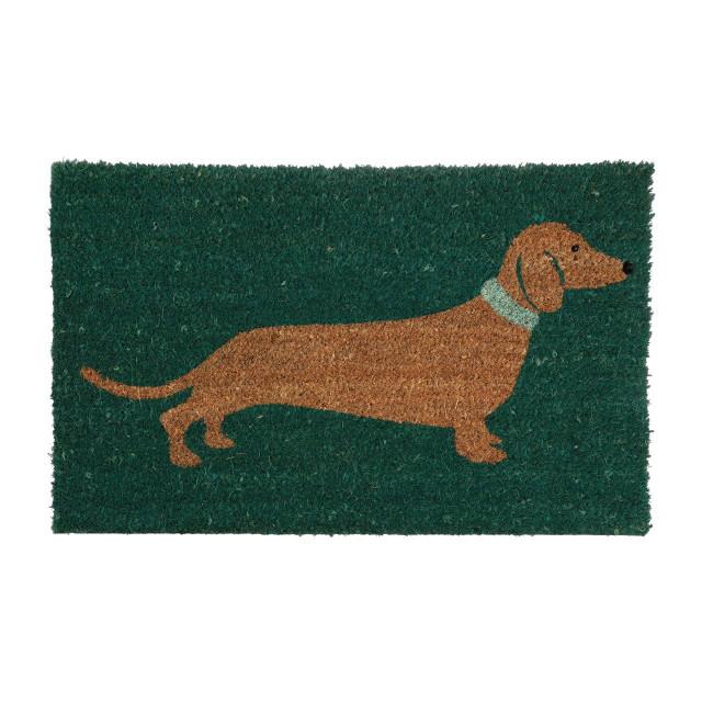 premier housewares Filta Sausage Dog Coir Doormat