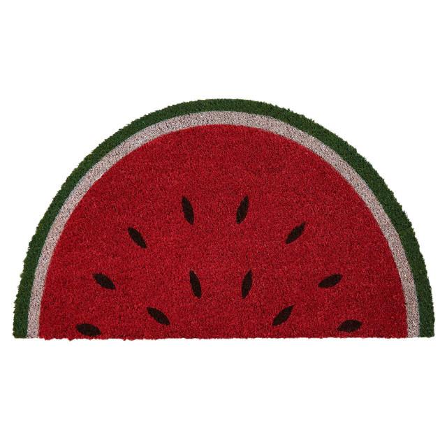 Premier Housewares Filta Water Melon Coir Doormat