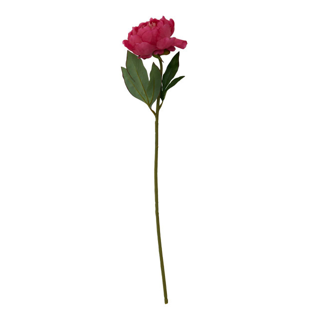 Premier Housewares Fiori Fuchsia Peony Flower Stem