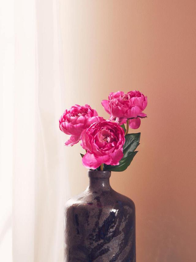 Premier Housewares Fiori Fuchsia Peony Flower Stem