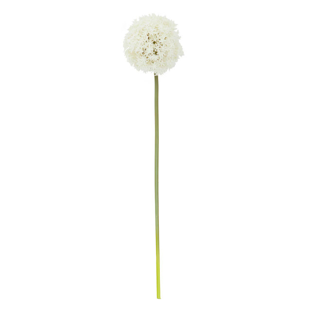 Premier Housewares Fiori Ivory Allium Flower Stem