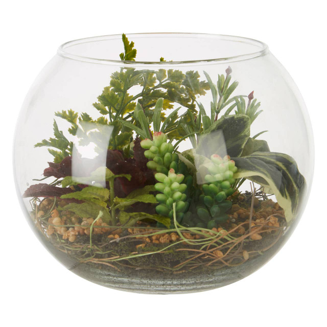 premier housewares Fiori Large Terranium