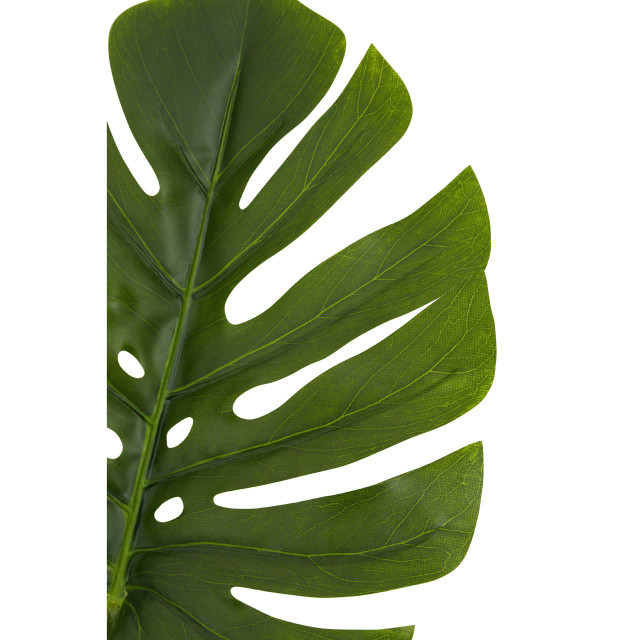 Premier Housewares Fiori Tall Monstera Palm Stem