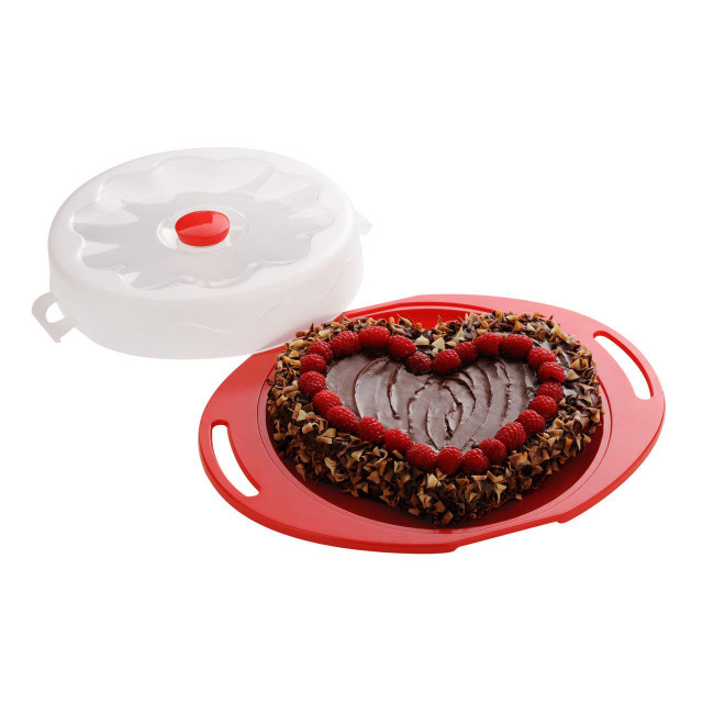 Premier Housewares Hallie Cake Storage Carrier Box