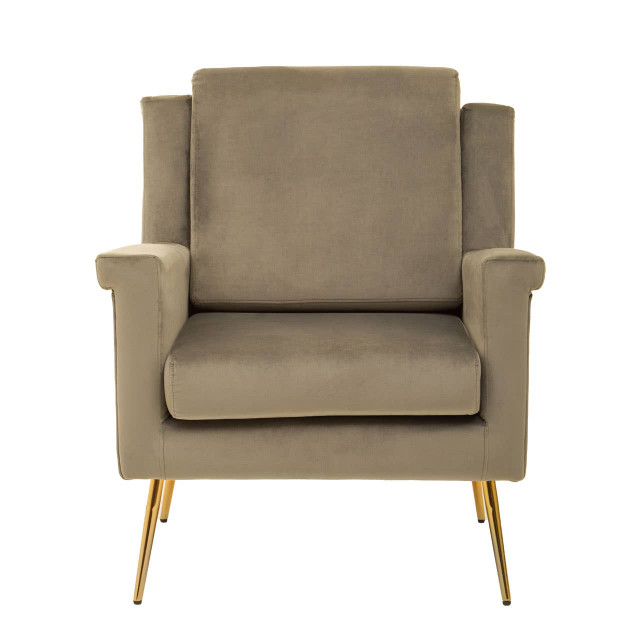 Premier Housewares Salma Mink Velvet Armchair