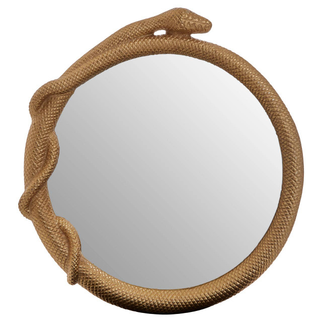 premier housewares Serpent Wall Mirror