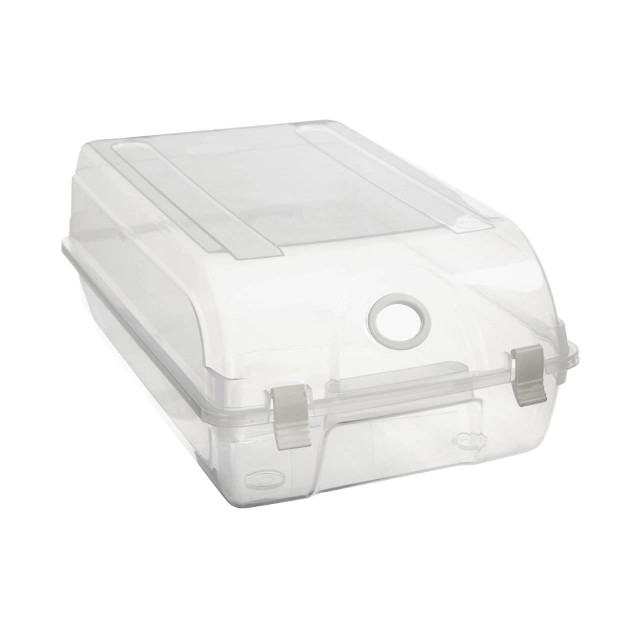 premier housewares Tavia Mens Shoe Box