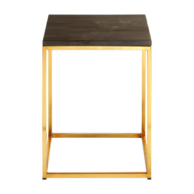 premier housewares Relic Dark Petrified Wood Square Side Table